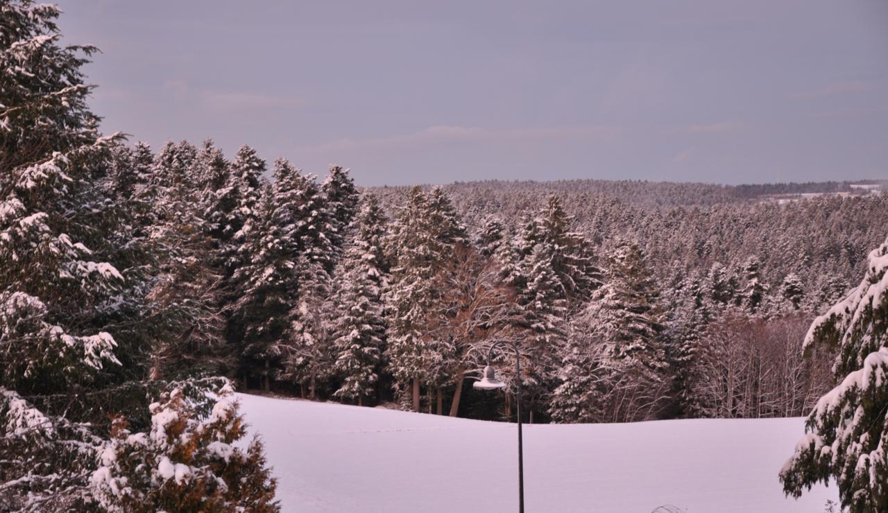 Landhotel Krone Alpirsbach Zewnętrze zdjęcie
